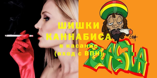 ГАЛЛЮЦИНОГЕННЫЕ ГРИБЫ Баксан