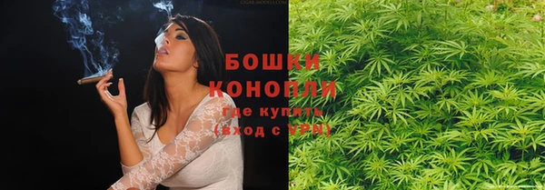 ГАЛЛЮЦИНОГЕННЫЕ ГРИБЫ Баксан